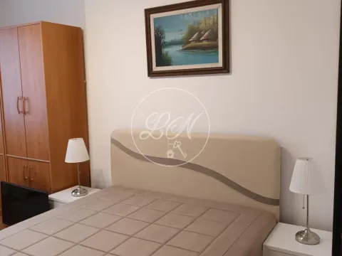 Izdavanje, dvosoban stan, 59m², Savski Venac, Beograd - image 8