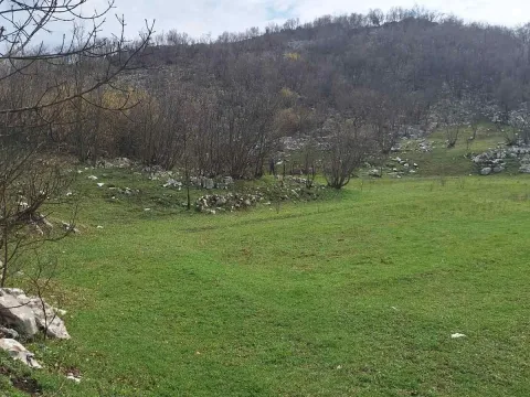 Prodaja, plac, 17000m², Podgorica, Crna Gora - image 1