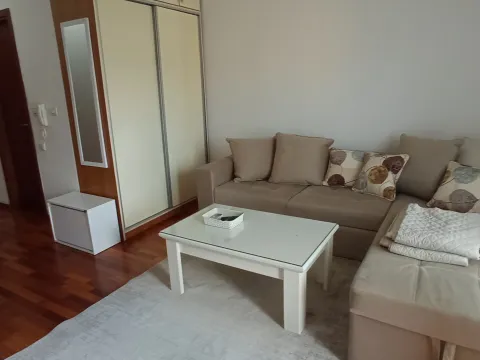 Rent, one bedroom apartment, 30m², City Kvart, Podgorica - image 8