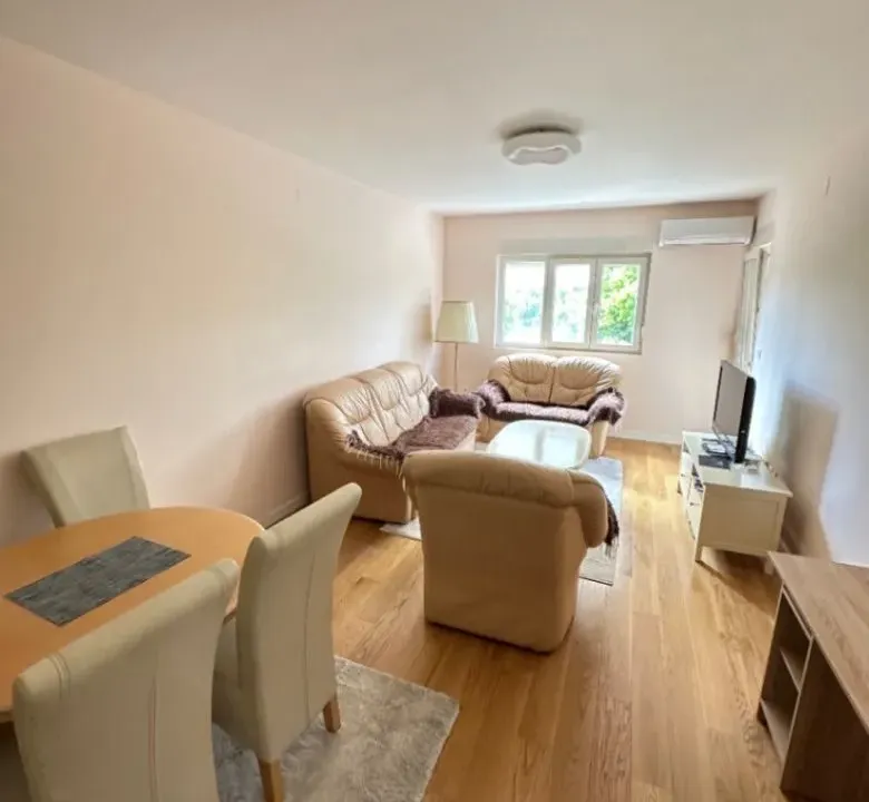 Izdavanje, jednosoban stan, 50m², Central Point, Podgorica