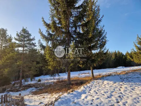 Sale, land lot, 1100m², Tara, Srbija - image 9