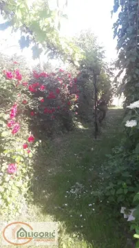 Sale, house, 120m², Radovašnica, Šabac - image 6