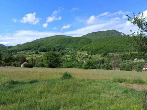 Sale, land lot, 48000m², Bistrica, Bijelo Polje - image 2