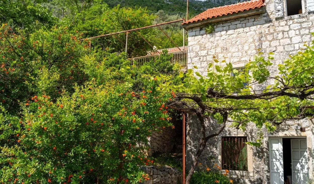 Prodaja, kuća, Dražin Vrt, Kotor