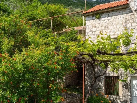 Prodaja, kuća, Dražin Vrt, Kotor - image 16