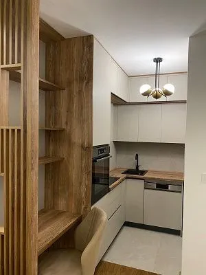 Rent, one bedroom apartment, 50m², Novi Beograd Sve Podlokacije, Beograd