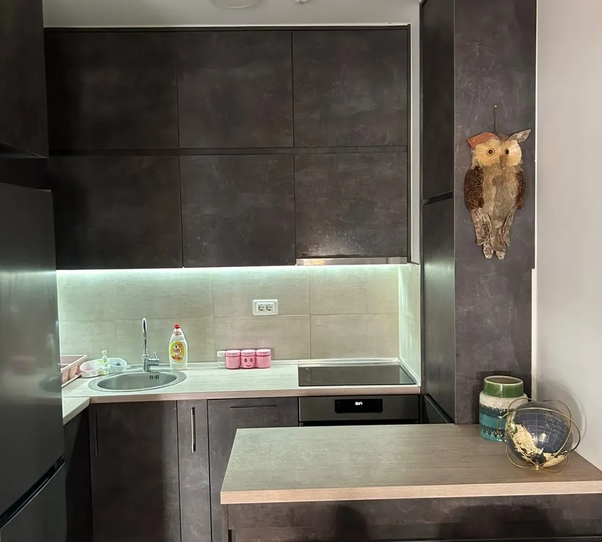 Rent, one bedroom apartment, 47m², City Kej, Podgorica