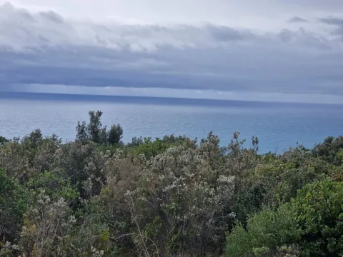 Prodaja, plac, 5000m², Zagora, Kotor - image 7