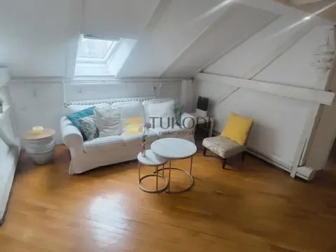 Rent, one bedroom apartment, 45m², Botanička Bašta, Palilula Sve Podlokacije - image 12