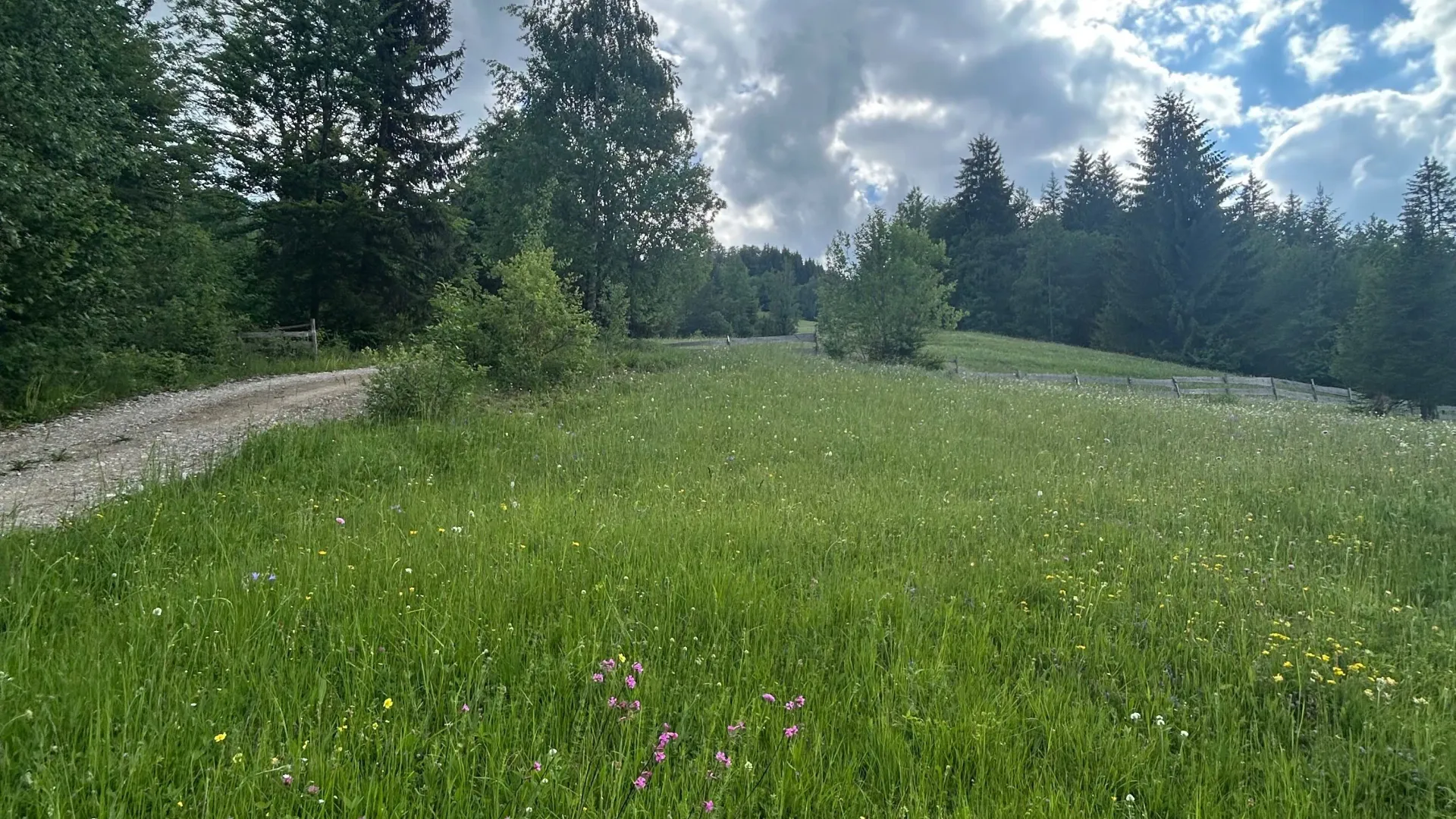 Prodaja, plac, 62500m², Bare, Kolašin