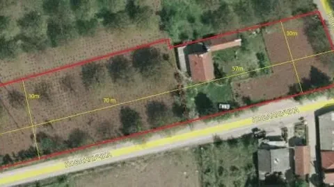 Izdavanje, plac, 3500m², Palilula, Niš - image 5