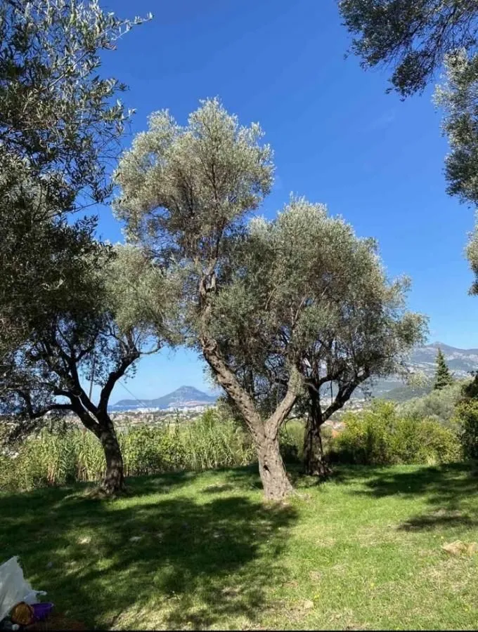 Prodaja, plac, 3700m², Zaljevo, Bar