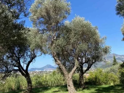 Sale, land lot, 3700m², Zaljevo, Bar - image 6