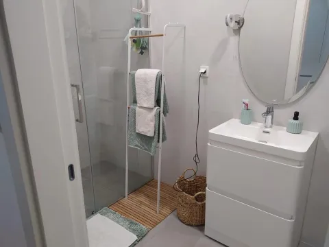 Modernly equipped bathroom with a walk-in shower, washbasin, and mirror. - image 7