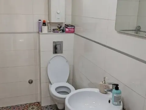 Prodaja, dvosoban stan, 72m², Profesorska Kolonija, Palilula Sve Podlokacije - image 4