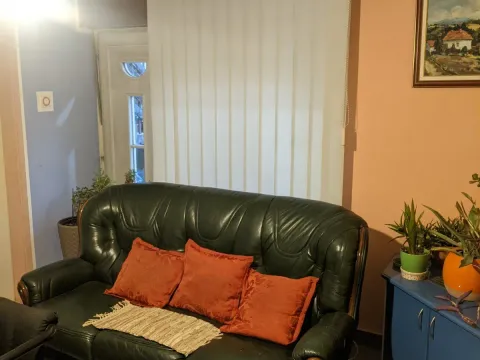 Prodaja, kuća, 274m², Tavrića obori, Jagodina - image 8