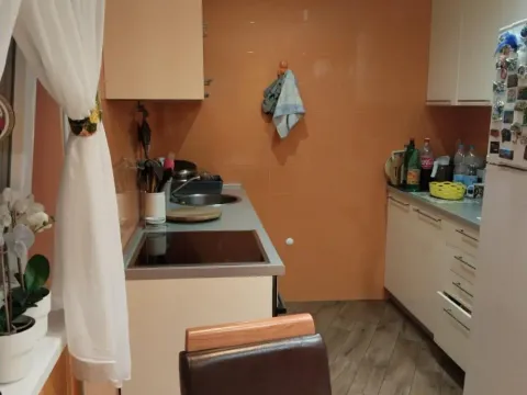 Sale, house, 214m², Zvezdarska Šuma, Zvezdara Sve Podlokacije - image 16