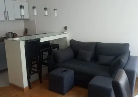 Izdavanje, jednosoban stan, 38m², Stari Grad, Beograd