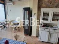 Izdavanje, ugostiteljski objekat, 56m², Novi Sad Sve Podlokacije, Novi Sad - image 1