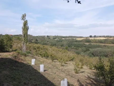 Pogled na zeleno dvorište i okolnu prirodu. - image 10