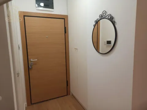 Izdavanje, jednosoban stan, 40m², Novo naselje, Novi Sad - image 8