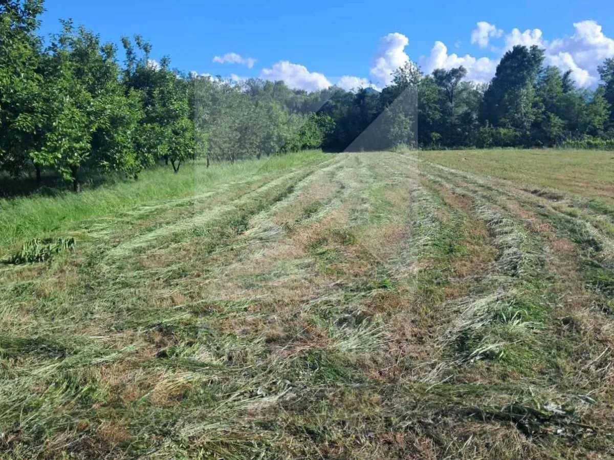 Prodaja, plac, 2923m², Zeta, Podgorica