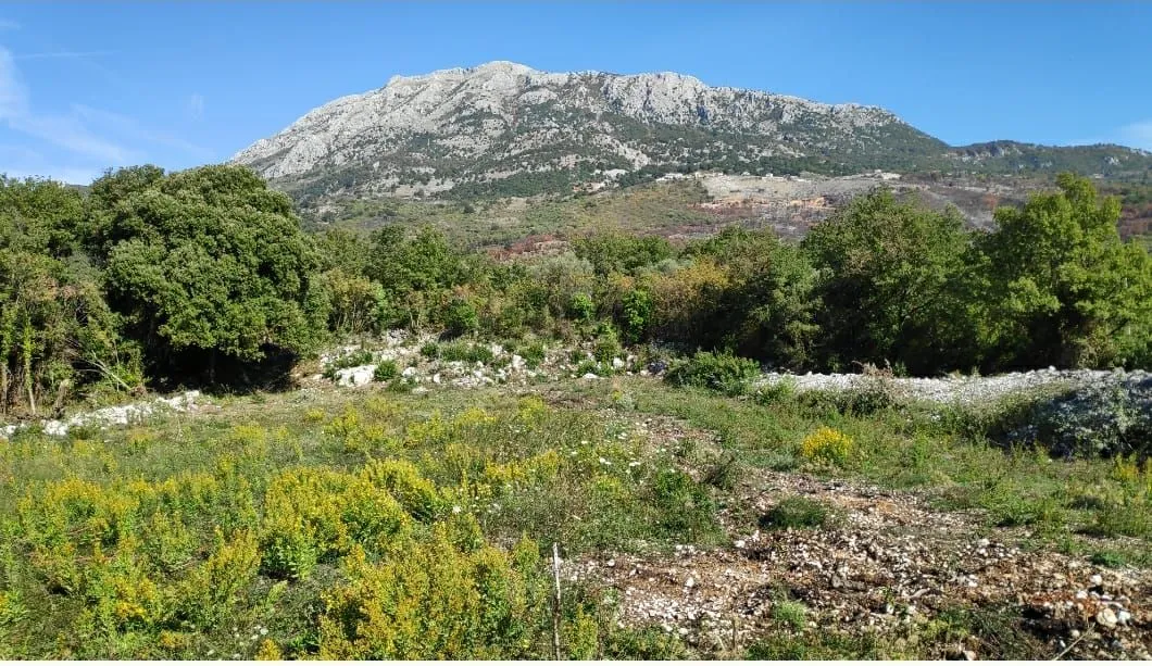 Prodaja, plac, 400m², Dobra Voda, Budva