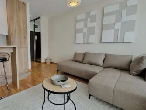 Izdavanje, garsonjera, 30m², Zagorič, Podgorica - image 2