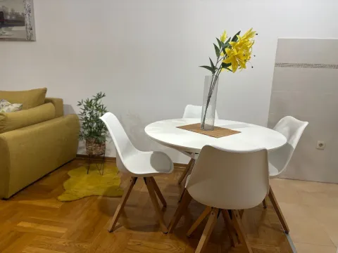 Rent, one bedroom apartment, 45m², Stari Aerodrom, Podgorica - image 3