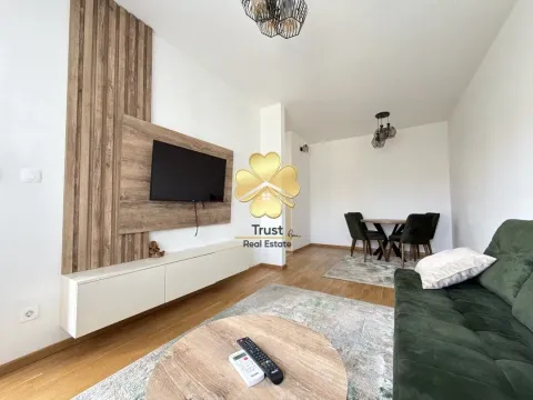 Rent, one bedroom apartment, 50m², Stara Varoš, Podgorica - image 4
