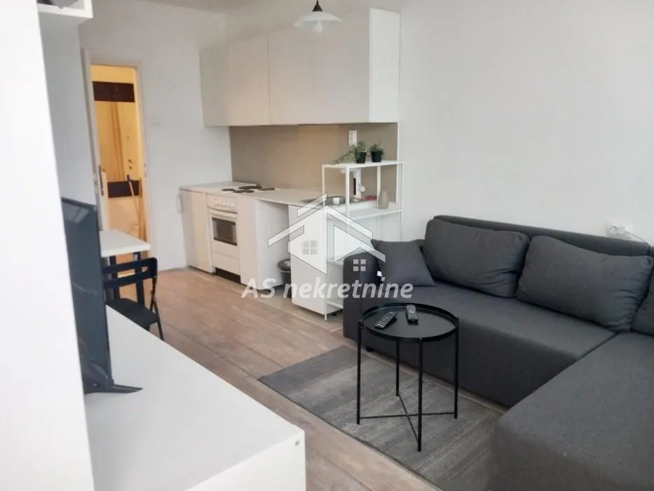 Izdavanje, dvosoban stan, 43m², Novi Beograd Sve Podlokacije, Beograd