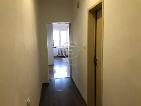 Izdavanje, jednosoban stan, 44m², Stari grad, Novi Sad - image 10