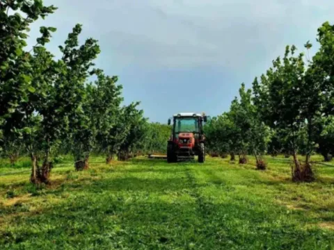 Sale, land lot, 37800m², Sremska Mitrovica, Srbija - image 8