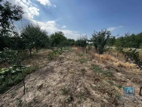 Sale, house, 65m², Kovačevac, Jagodina - image 22