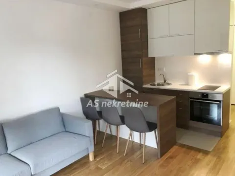 Izdavanje, dvosoban stan, 43m², Južni Bulevar, Vračar Sve Podlokacije - image 3