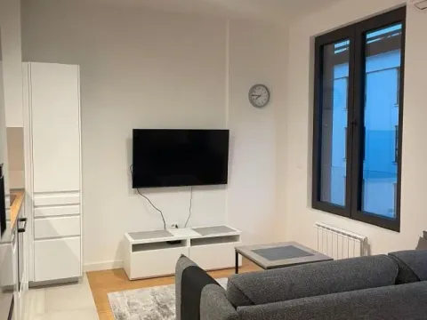 Izdavanje, dvosoban stan, 40m², Stari Grad, Beograd - image 7