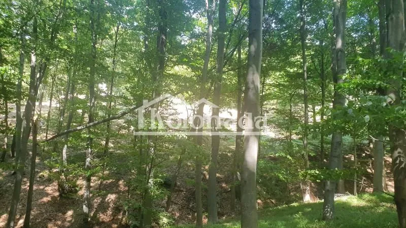 Prodaja, plac, 15600m², Sopot, Beograd