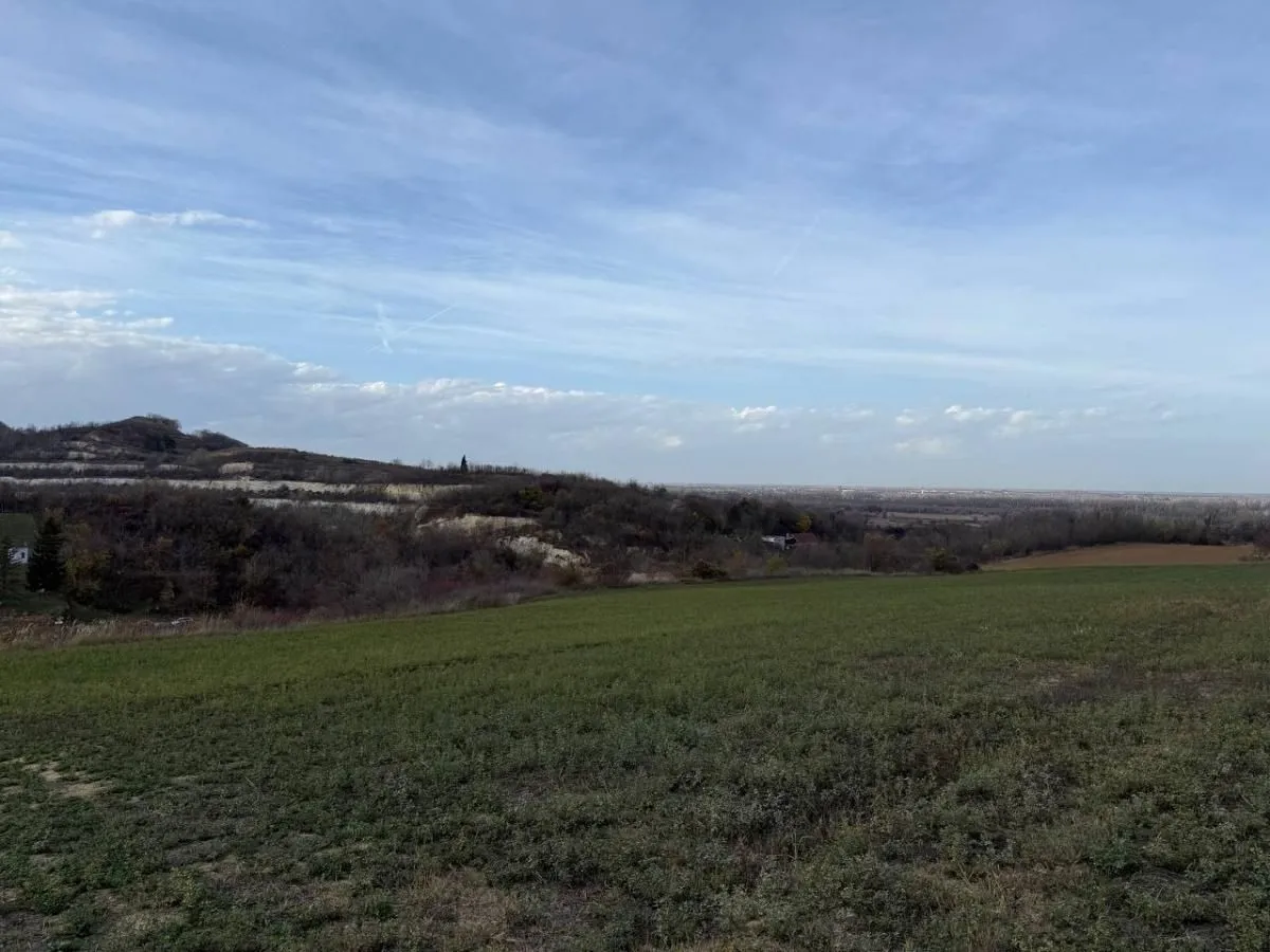 Prodaja, plac, 24207m², Beočić, Rekovac
