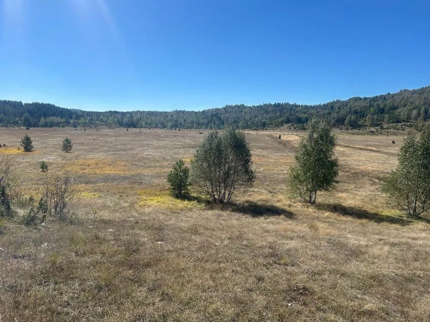 Sale, land lot, 1450m², Žabljak, Crna Gora