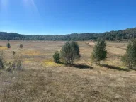 Sale, land lot, 1450m², Žabljak, Crna Gora - image 1