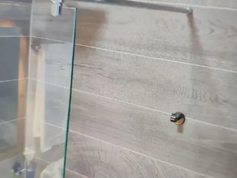 Izdavanje, dvosoban stan, 56m², Vračar Sve Podlokacije, Beograd - image 3