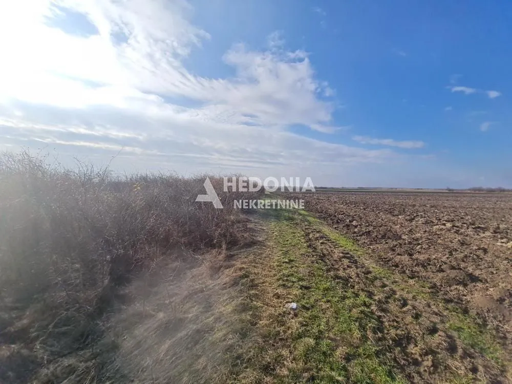 Prodaja, plac, 11500m², Šimanovci, Pećinci