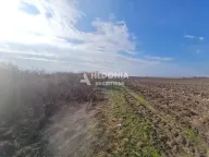 Prodaja, plac, Šimanovci, Pećinci - image 2