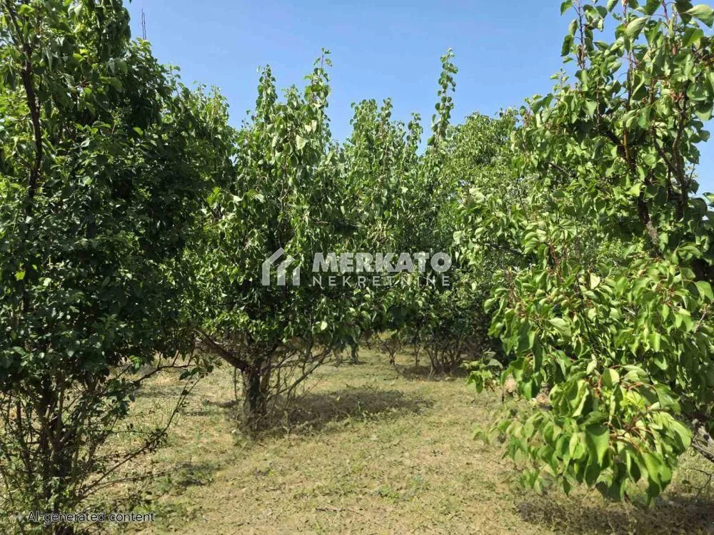 Prodaja, plac, 3100m², Bagljaš, Zrenjanin
