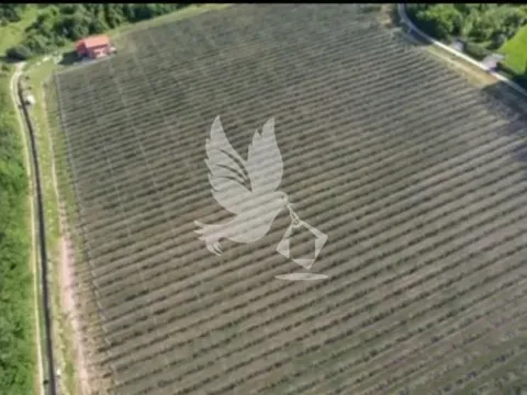 Sale, land lot, 32000m², Babe, Sopot - image 8