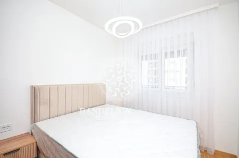 Rent, one bedroom apartment, 59m², Central Point, Podgorica - image 983