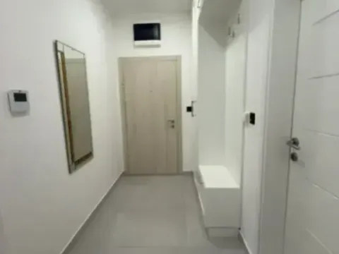 Izdavanje, jednosoban stan, 45m², Ljubović, Podgorica - image 6