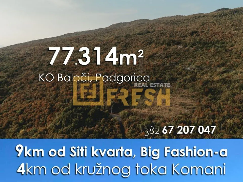 Prodaja, plac, 77314m², Ostalo, Podgorica