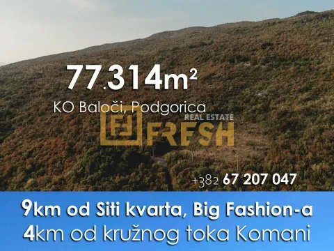 Sale, land lot, 77314m², Ostalo, Podgorica - image 4