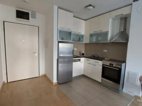 Izdavanje, dvosoban stan, 50m², Vračar, Šid - image 4